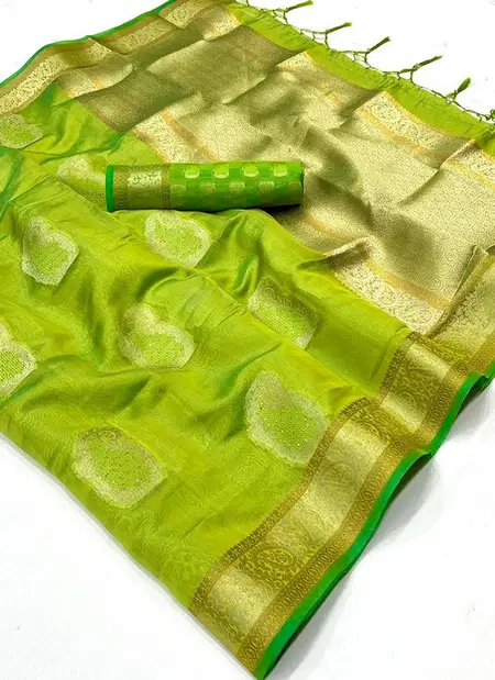 Katie Orgnaza By Rajtex Orgaza Fancy Saree